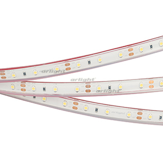 Лента RTW 2-5000PGS 12V White (3528, 300 LED, LUX) (Arlight, 4.8 Вт/м, IP66) | Arlight 013529