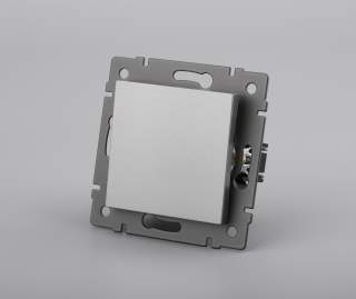 Механизм выключателя одноклавишный проходной SWT-MKP1-PL-GR-V (250V, 10A) (Arlight, -) | Arlight 049873