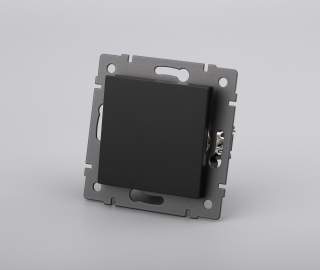 Механизм выключателя одноклавишный непроходной SWT-MK01-PL-BK-V (250V, 10A) (Arlight, -) | Arlight 049868