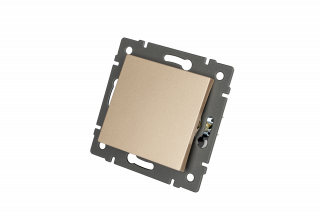 Механизм выключателя одноклавишный проходной SWT-MKP1-PL-GD-V (250V, 10A) (Arlight, -) | Arlight 049874