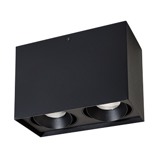 Светильник SP-CUBUS-S100x200BK-2x11W Warm White 40deg (Arlight, IP20 Металл) | Arlight 023085(1)