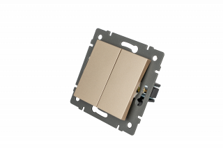 Механизм выключателя двухклавишный непроходной SWT-MK02-PL-GD-V (250V, 10A) (Arlight, -) | Arlight 049890